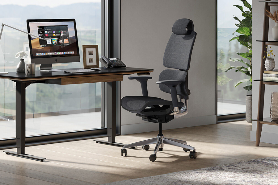 Office Chair Vs Ergonomic Chair Which One the Best?
