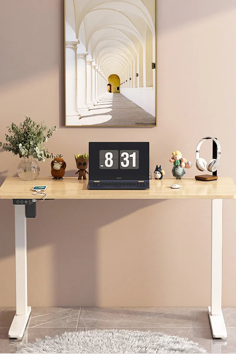 Entry-level Basic Adjustable Desktop Computer Table