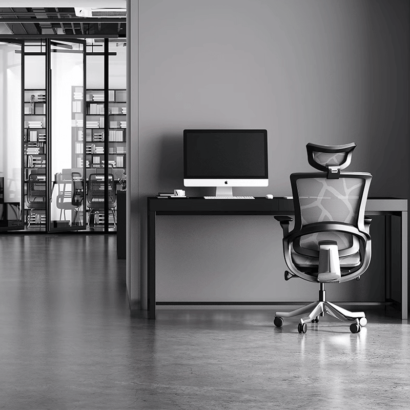 Best Ergonomic Office Chair With Back Support Singapore