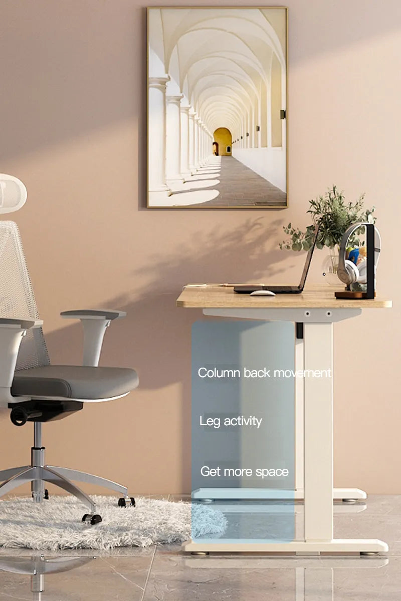 Entry-level Basic Adjustable Desktop Computer Table