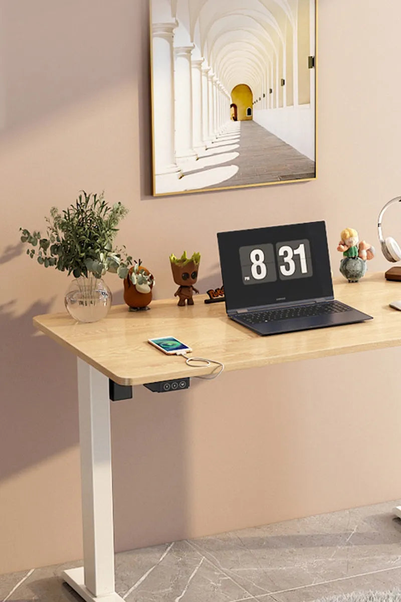 Entry-level Basic Adjustable Desktop Computer Table