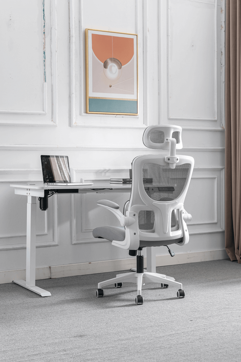 Cheap Ergonomic Chairs Singapore