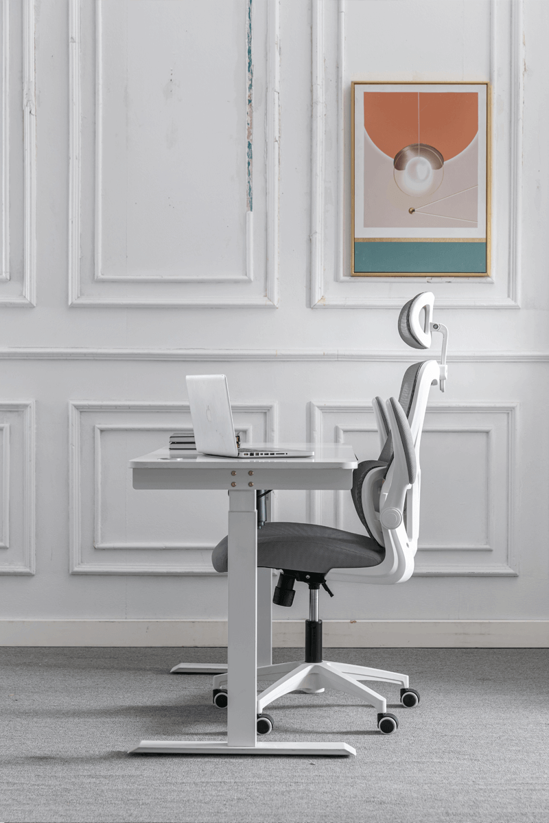 The best selling ergo chair in Singapore